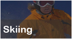-> Ski Holidays